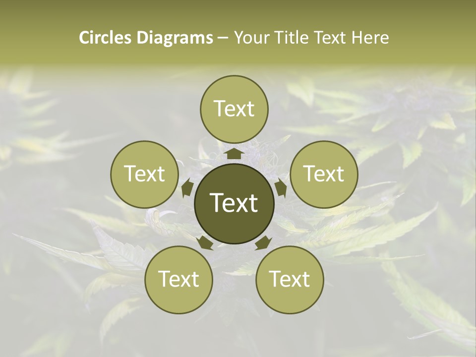 A Bunch Of Purple Flowers With Green Leaves PowerPoint Template