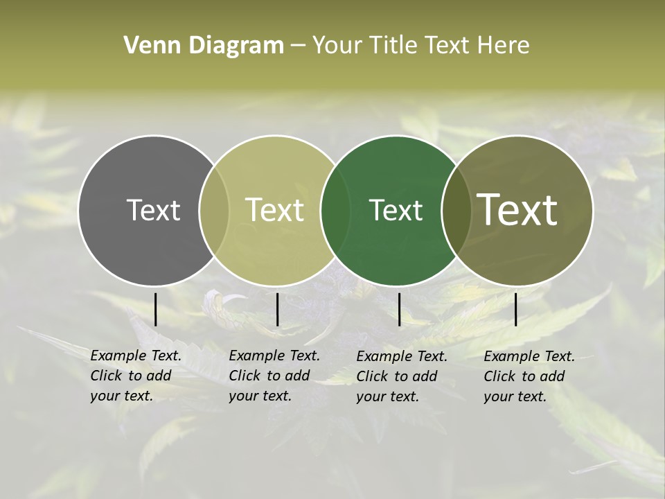 A Bunch Of Purple Flowers With Green Leaves PowerPoint Template