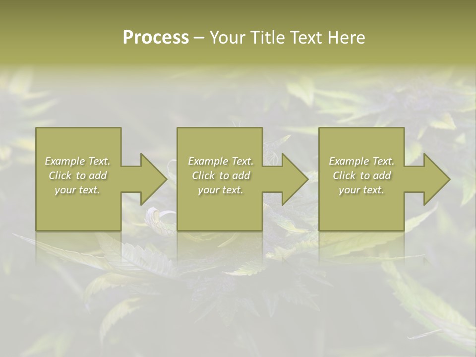 A Bunch Of Purple Flowers With Green Leaves PowerPoint Template