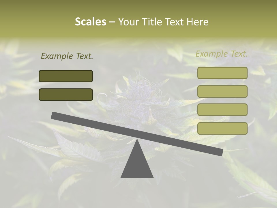 A Bunch Of Purple Flowers With Green Leaves PowerPoint Template