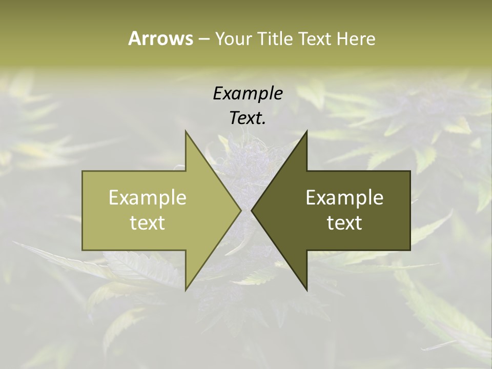 A Bunch Of Purple Flowers With Green Leaves PowerPoint Template