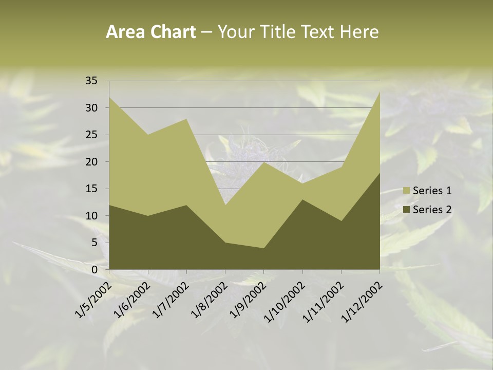 A Bunch Of Purple Flowers With Green Leaves PowerPoint Template