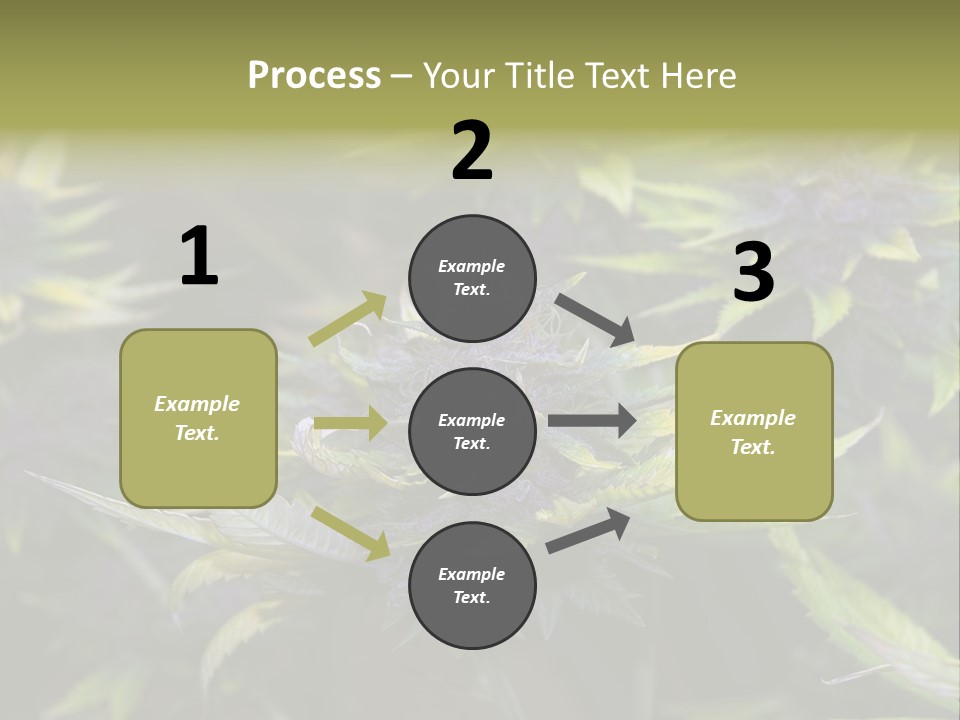 A Bunch Of Purple Flowers With Green Leaves PowerPoint Template