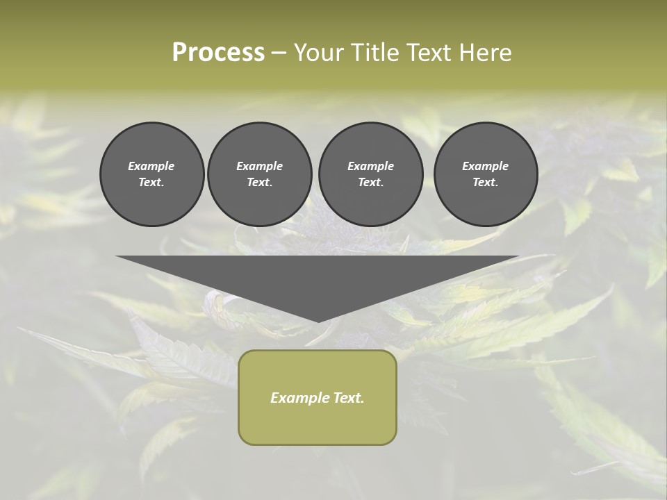 A Bunch Of Purple Flowers With Green Leaves PowerPoint Template