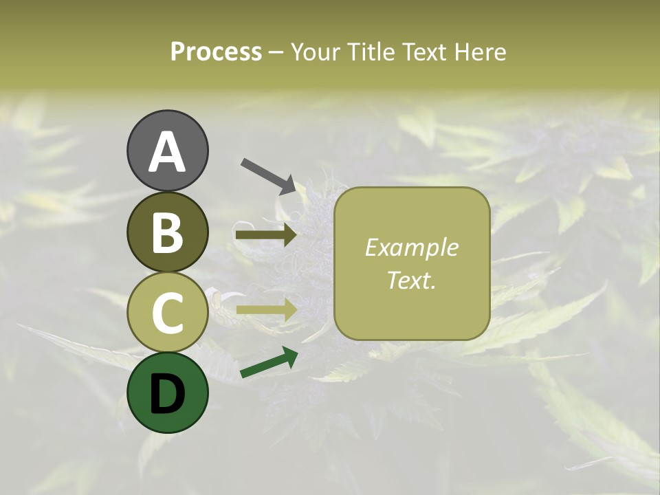 A Bunch Of Purple Flowers With Green Leaves PowerPoint Template