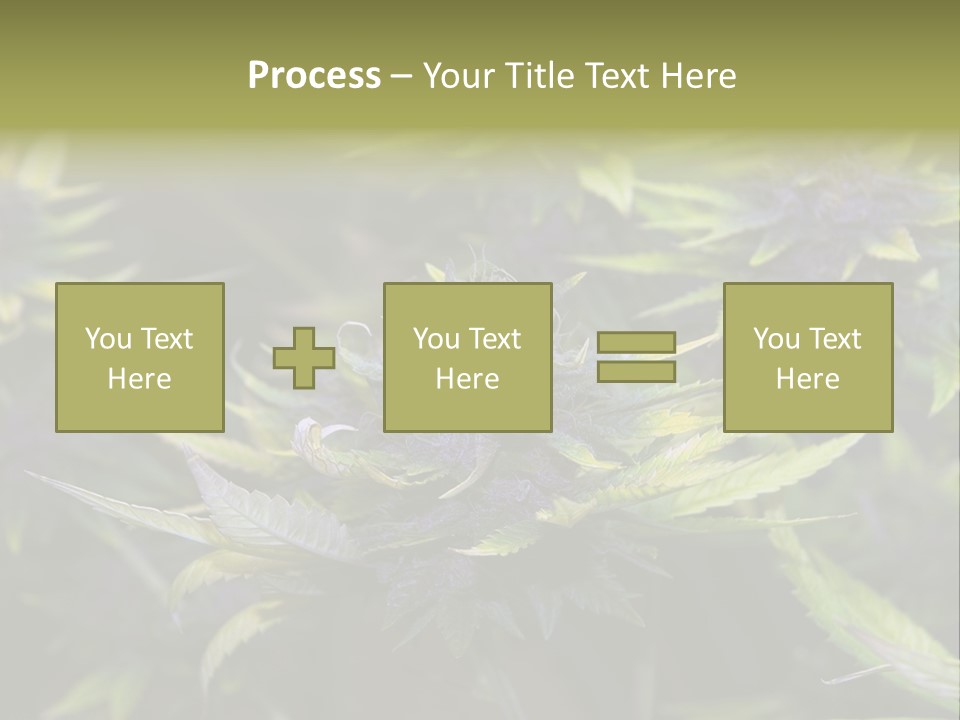 A Bunch Of Purple Flowers With Green Leaves PowerPoint Template