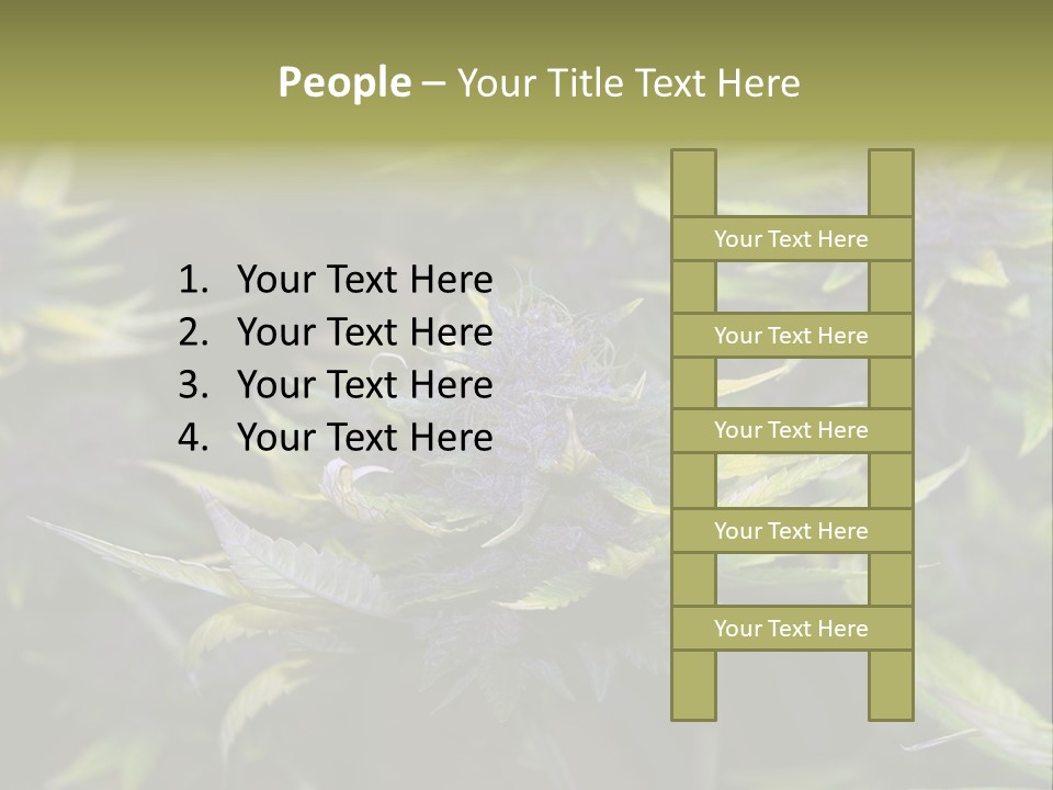 A Bunch Of Purple Flowers With Green Leaves PowerPoint Template