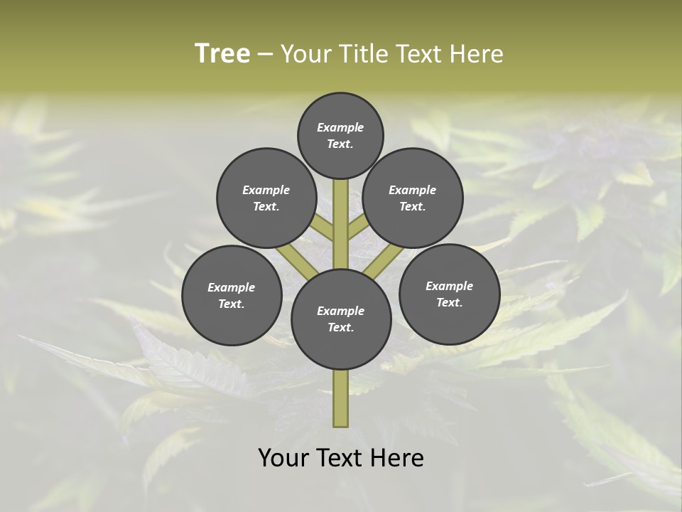 A Bunch Of Purple Flowers With Green Leaves PowerPoint Template