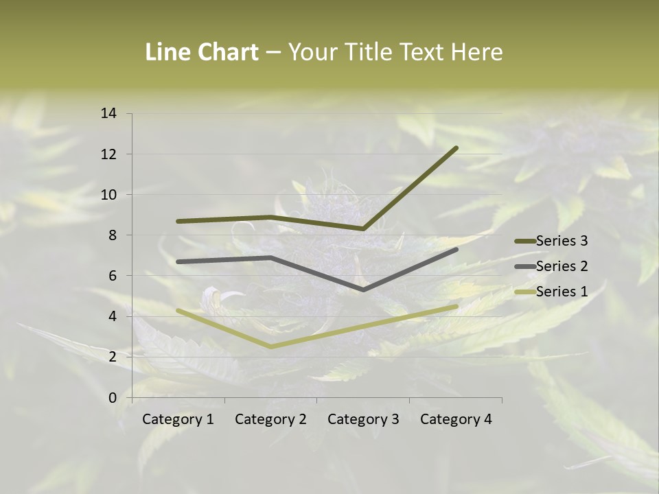 A Bunch Of Purple Flowers With Green Leaves PowerPoint Template
