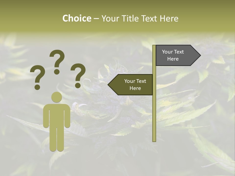 A Bunch Of Purple Flowers With Green Leaves PowerPoint Template