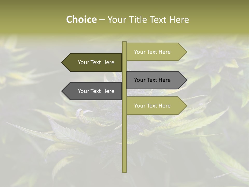 A Bunch Of Purple Flowers With Green Leaves PowerPoint Template