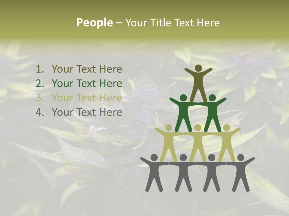 A Bunch Of Purple Flowers With Green Leaves PowerPoint Template