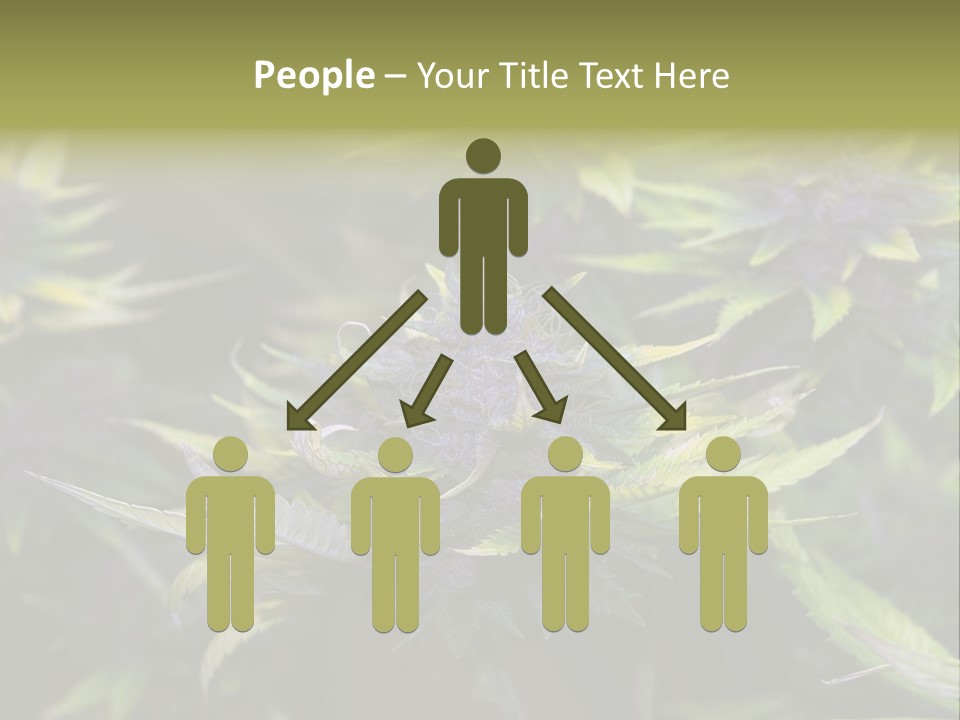 A Bunch Of Purple Flowers With Green Leaves PowerPoint Template