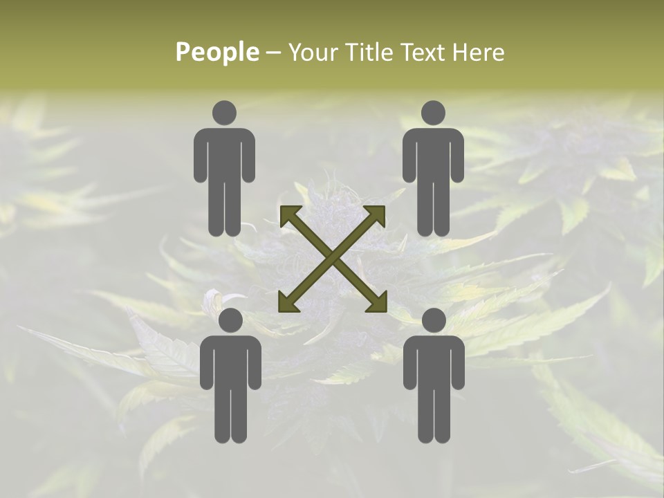 A Bunch Of Purple Flowers With Green Leaves PowerPoint Template