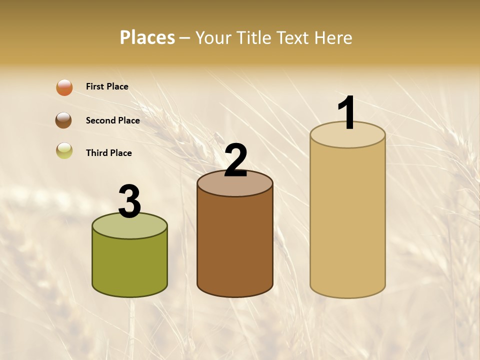Golden Wheat Growing In A Farm Field PowerPoint Template