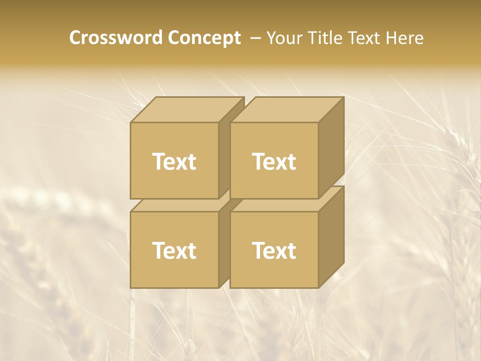 Golden Wheat Growing In A Farm Field PowerPoint Template