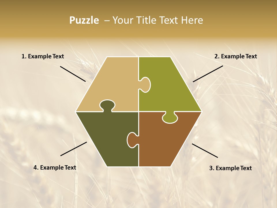 Golden Wheat Growing In A Farm Field PowerPoint Template