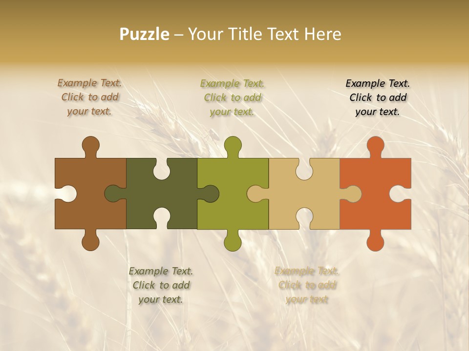 Golden Wheat Growing In A Farm Field PowerPoint Template