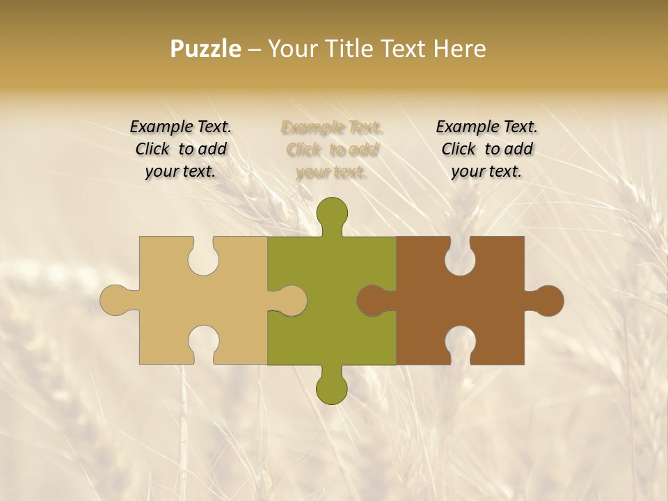 Golden Wheat Growing In A Farm Field PowerPoint Template