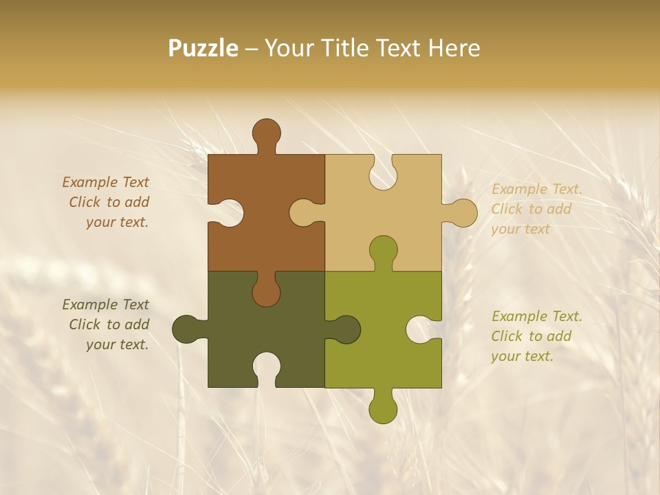 Golden Wheat Growing In A Farm Field PowerPoint Template