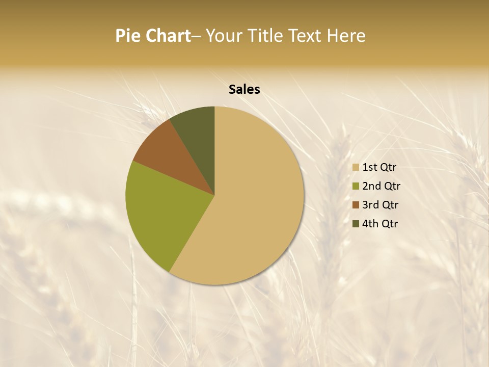 Golden Wheat Growing In A Farm Field PowerPoint Template