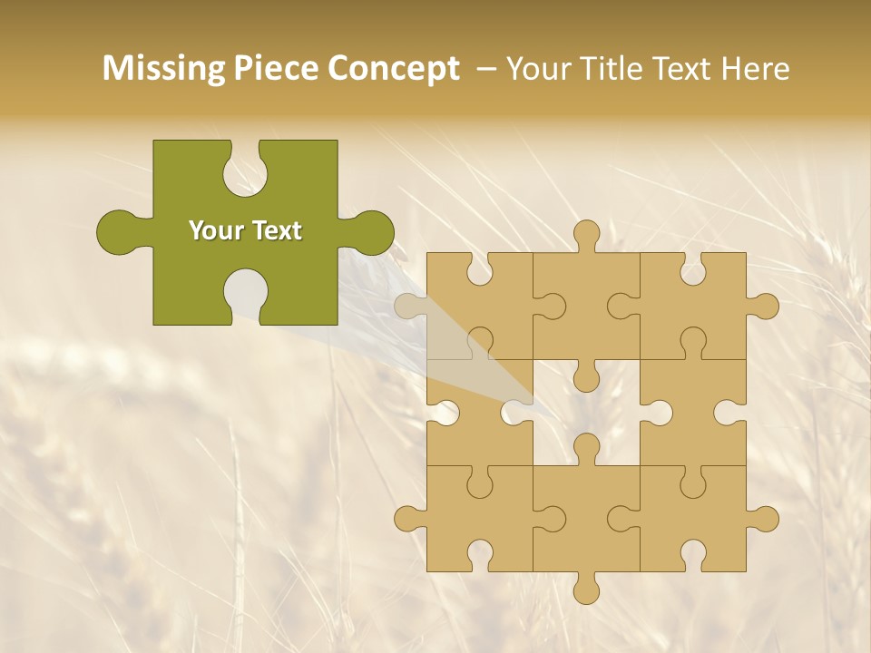 Golden Wheat Growing In A Farm Field PowerPoint Template