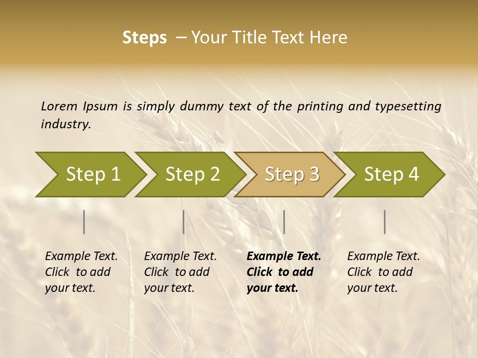 Golden Wheat Growing In A Farm Field PowerPoint Template