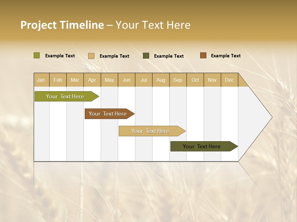 Golden Wheat Growing In A Farm Field PowerPoint Template