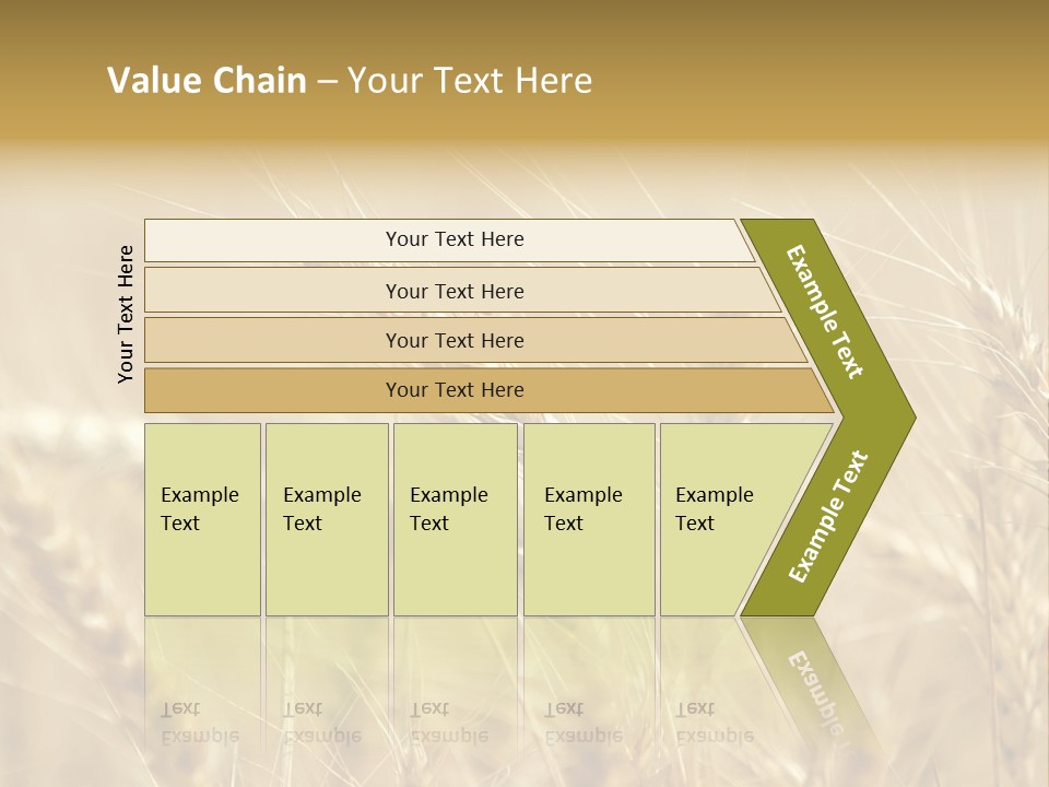 Golden Wheat Growing In A Farm Field PowerPoint Template