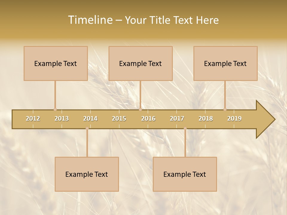 Golden Wheat Growing In A Farm Field PowerPoint Template