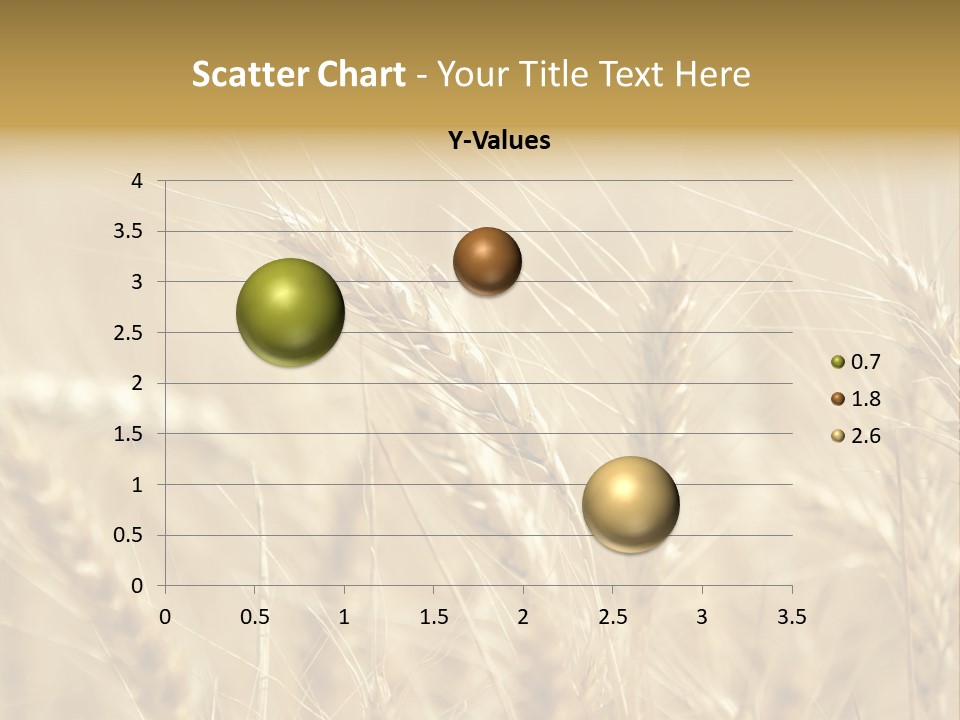 Golden Wheat Growing In A Farm Field PowerPoint Template