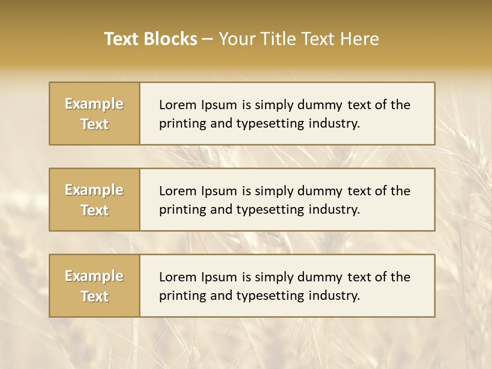 Golden Wheat Growing In A Farm Field PowerPoint Template