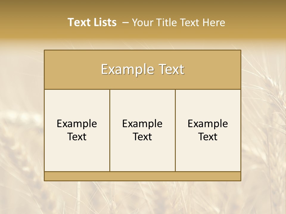 Golden Wheat Growing In A Farm Field PowerPoint Template