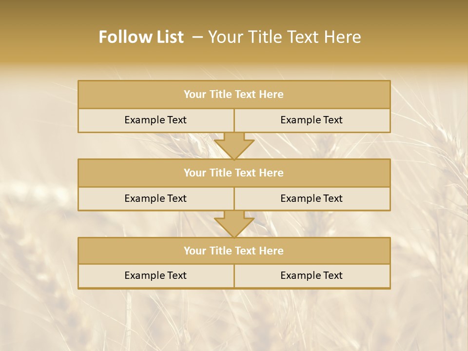 Golden Wheat Growing In A Farm Field PowerPoint Template