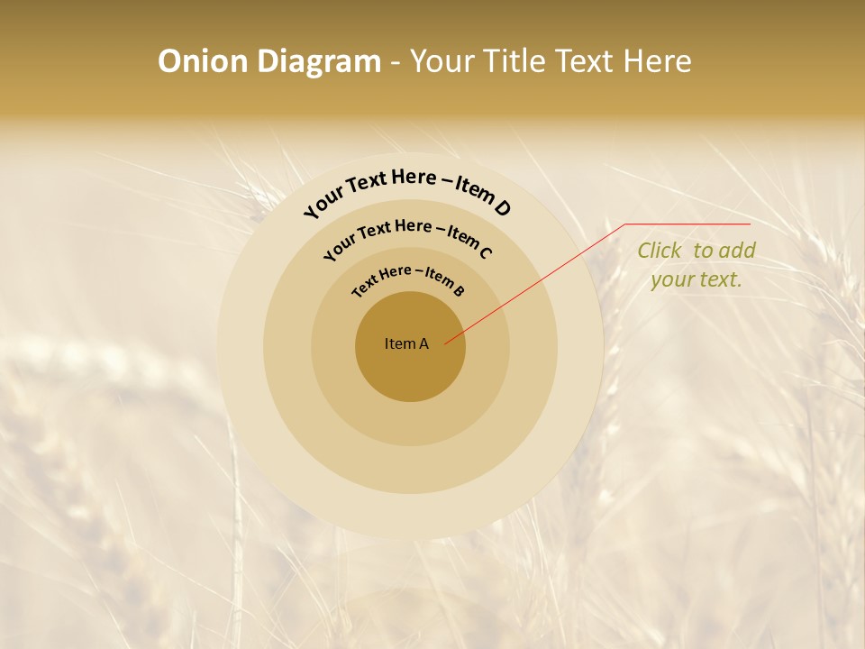 Golden Wheat Growing In A Farm Field PowerPoint Template