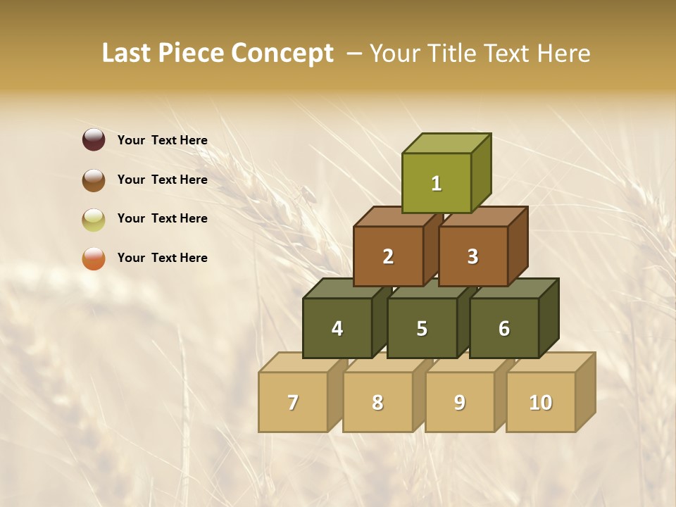 Golden Wheat Growing In A Farm Field PowerPoint Template