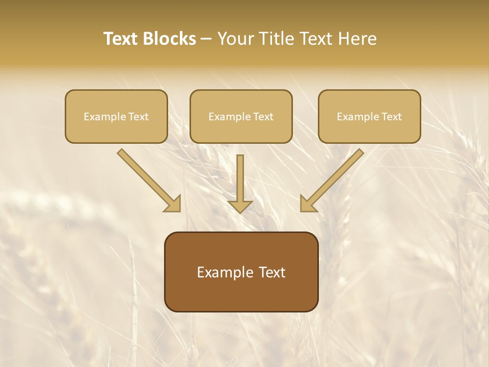 Golden Wheat Growing In A Farm Field PowerPoint Template