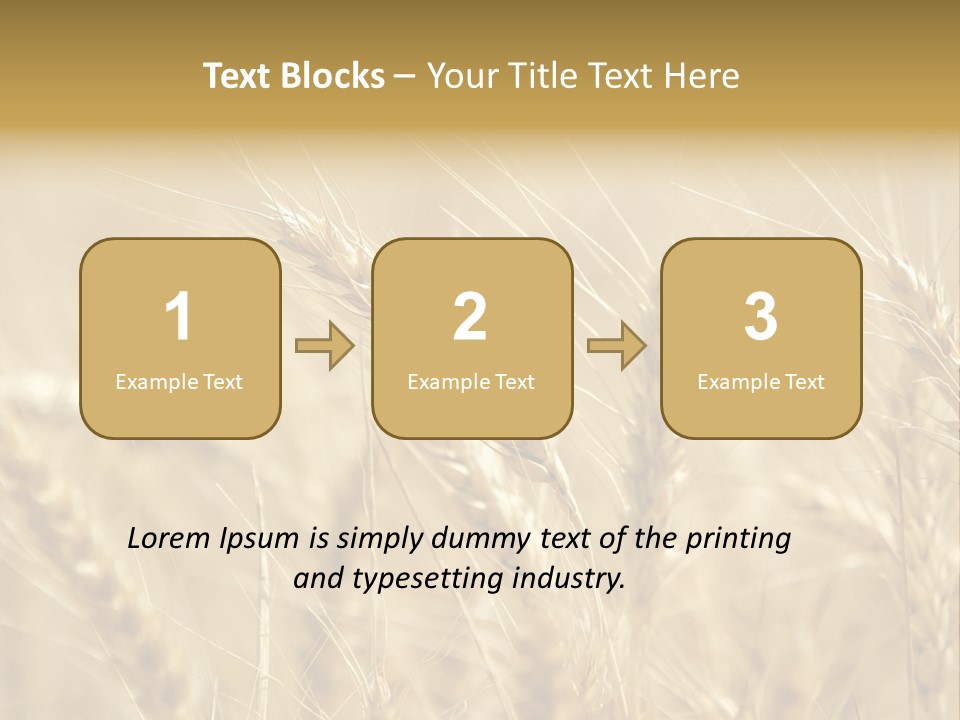 Golden Wheat Growing In A Farm Field PowerPoint Template