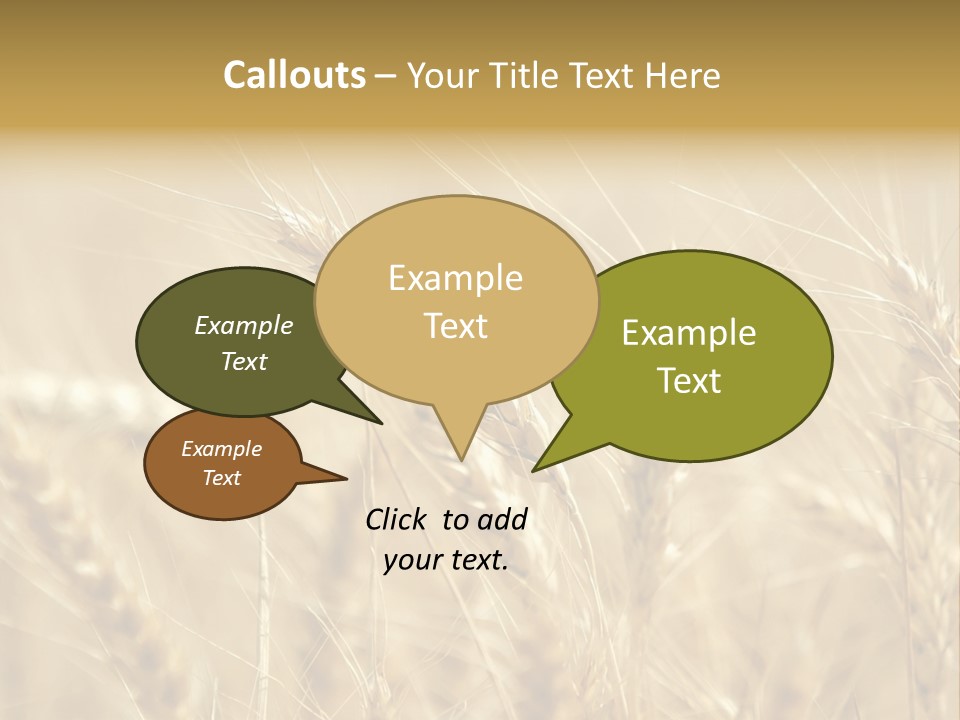 Golden Wheat Growing In A Farm Field PowerPoint Template