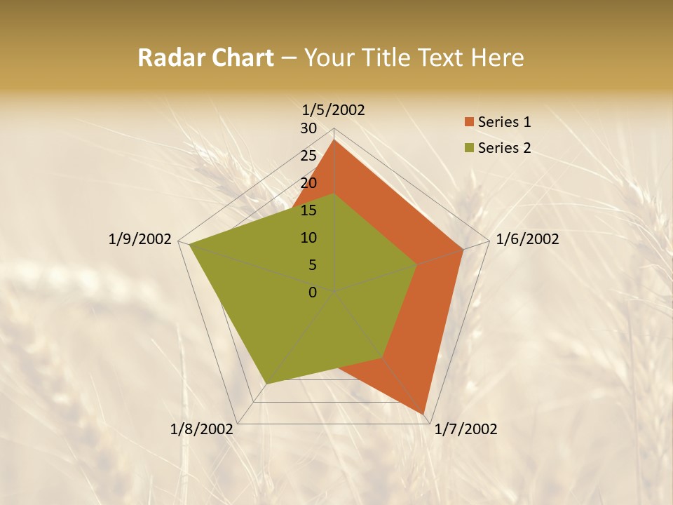 Golden Wheat Growing In A Farm Field PowerPoint Template