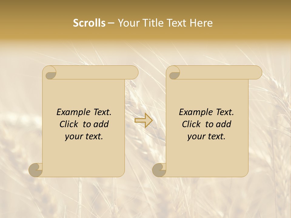 Golden Wheat Growing In A Farm Field PowerPoint Template