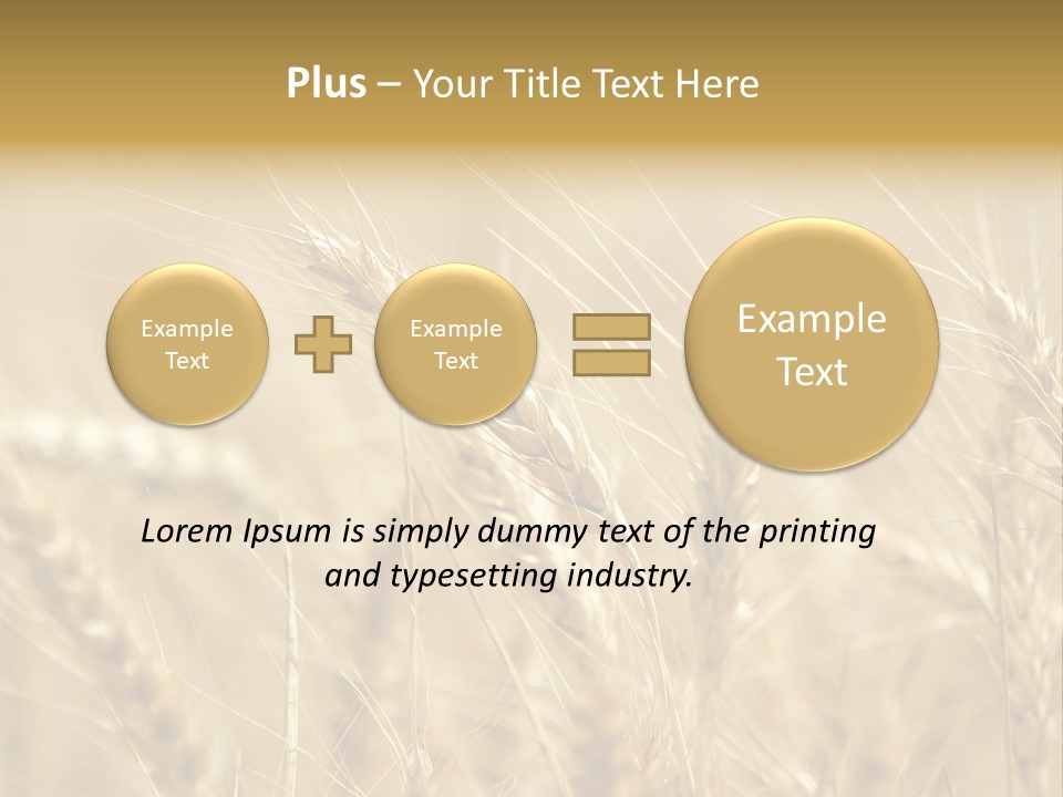 Golden Wheat Growing In A Farm Field PowerPoint Template