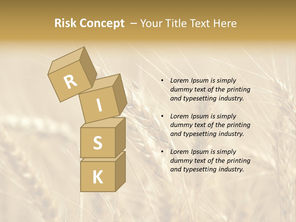 Golden Wheat Growing In A Farm Field PowerPoint Template