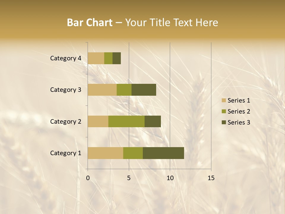 Golden Wheat Growing In A Farm Field PowerPoint Template