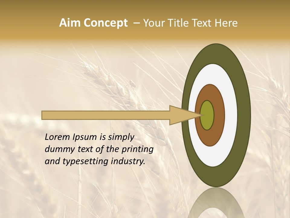 Golden Wheat Growing In A Farm Field PowerPoint Template