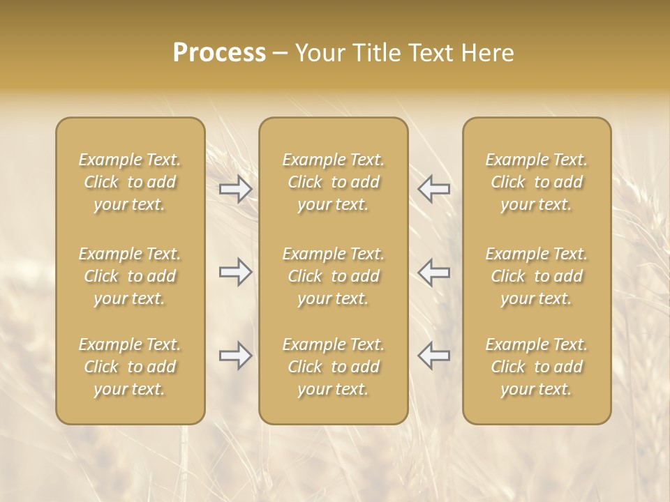 Golden Wheat Growing In A Farm Field PowerPoint Template