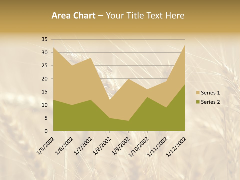 Golden Wheat Growing In A Farm Field PowerPoint Template