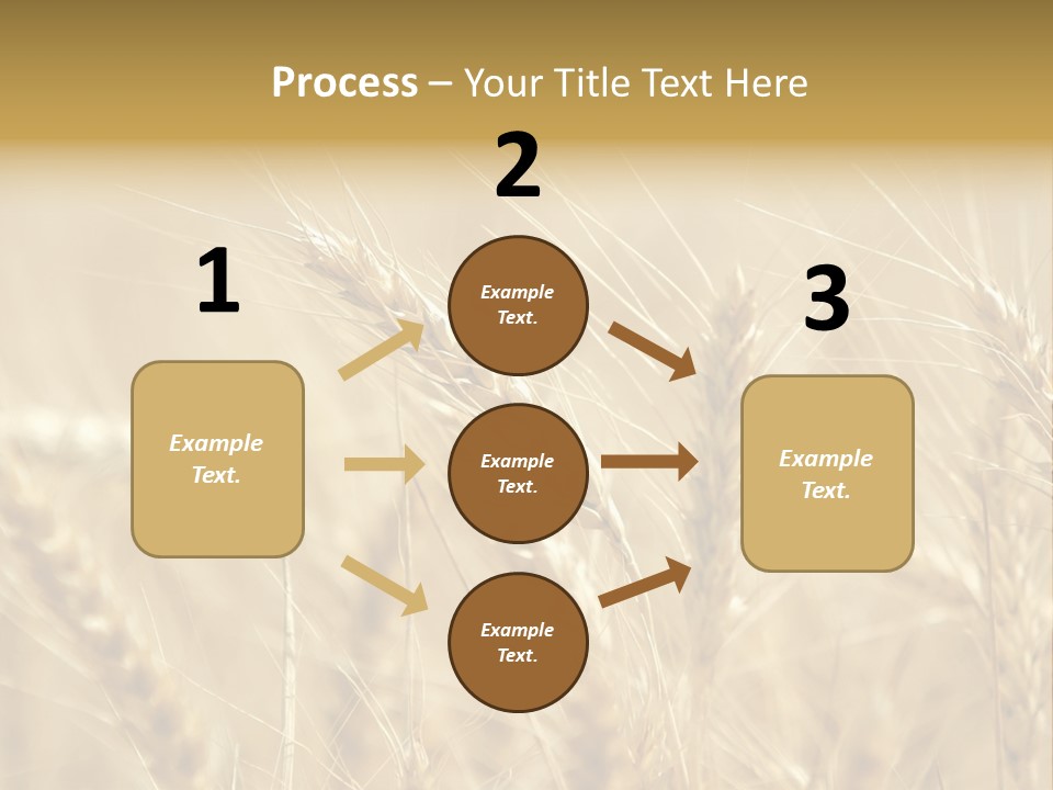Golden Wheat Growing In A Farm Field PowerPoint Template