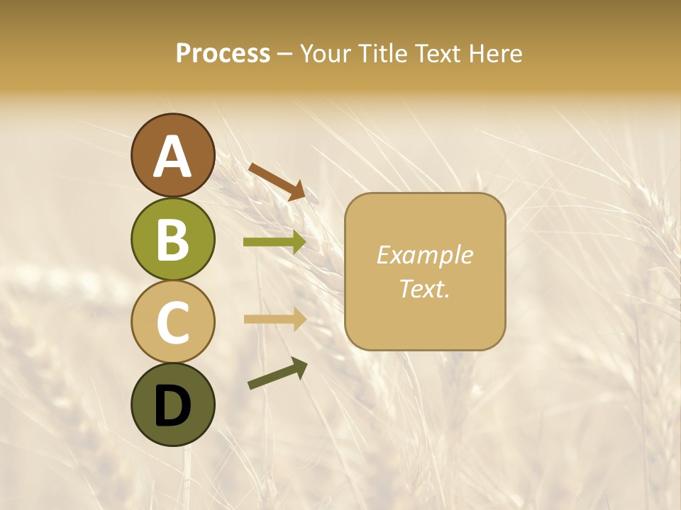 Golden Wheat Growing In A Farm Field PowerPoint Template