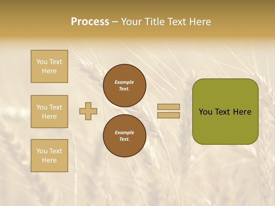 Golden Wheat Growing In A Farm Field PowerPoint Template